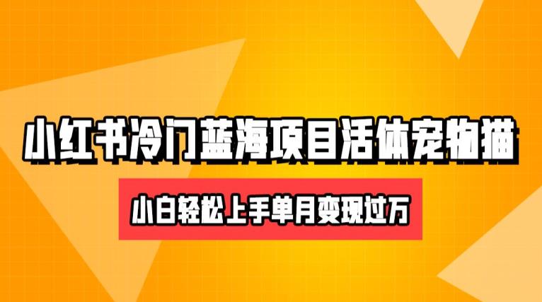 小红书冷门赛道卖活体宠物猫项目，小白也能操作月入5w+