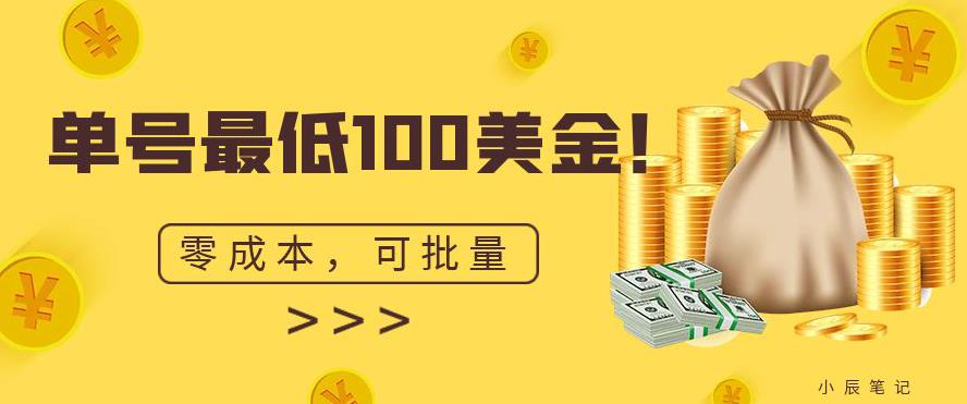 单号最低100美金，零成本，小白无脑操作，可复制，可扩大