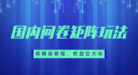 保姆级教程，国内问卷矩阵玩法，轻松赚收益