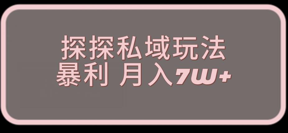 探探最新的私域玩法非常厉害操作简单，聊聊天就能有收入