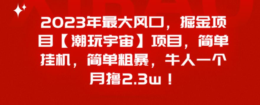 2023年最大风口，掘金项目【潮玩宇宙】，简单挂机，简单粗暴，牛人一个月撸2.3w！