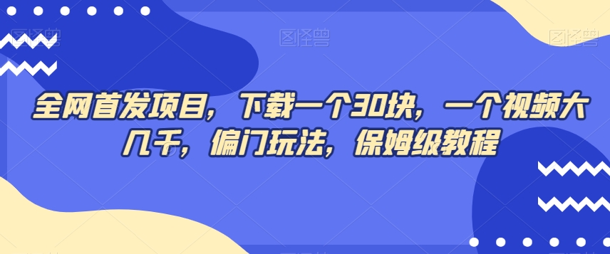 全网首发项目，下载一个30块，一个视频大几千，偏门玩法，保姆级教程