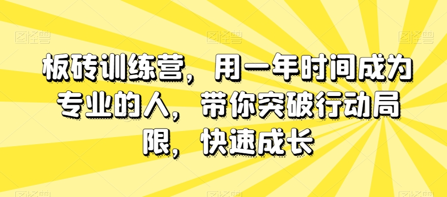 板砖训练营，用一年时间成为专业的人，带你突破行动局限，快速成长