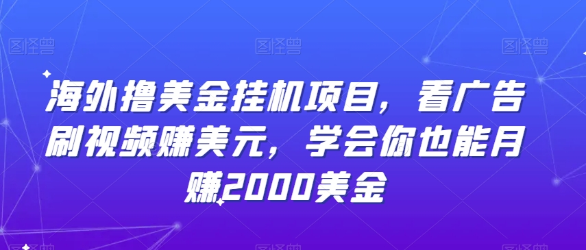 海外撸美金挂机项目，看广告刷视频赚美元，学会你也能月赚2000美金