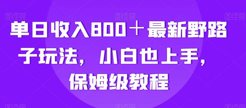 单日收入800＋最新野路子玩法，小白也上手，保姆级教程