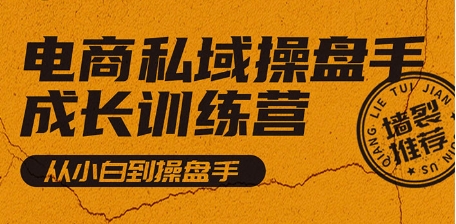 电商私域操盘手成长训练营（自学班），从小白到操盘手