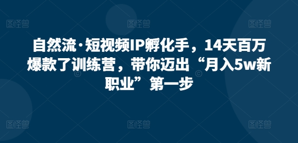 自然流·短視頻IP孵化手，14天百萬爆款了訓練營，帶你邁出“月入5w新職業”第一步