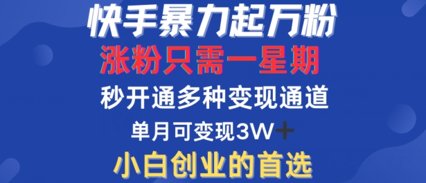 快手暴力起万粉，涨粉只需一星期，多种变现模式，直接秒开万合，单月变现过W【揭秘】