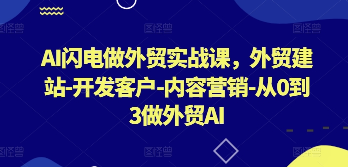 AI闪电做外贸实战课，​外贸建站-开发客户-内容营销-从0到3做外贸AI（更新）