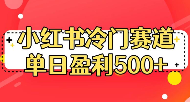 小红书冷门赛道，单日盈利500+