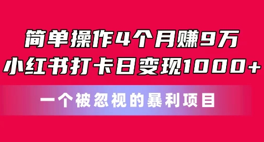 简单操作4个月赚9w，小红书打卡日变现1k，一个被忽视的暴力项目